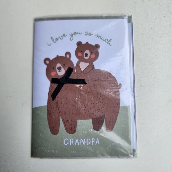 Love You So Much Grandpa Adventures Are The Best With You Envelope Green Bear - Picture 1 of 7